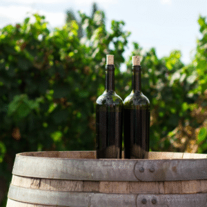 Meyseri Winery Tour & Wine Degustation